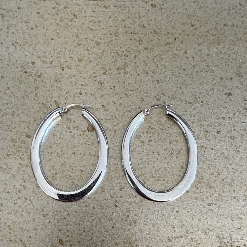 Elegant Silver Hoop Earrings